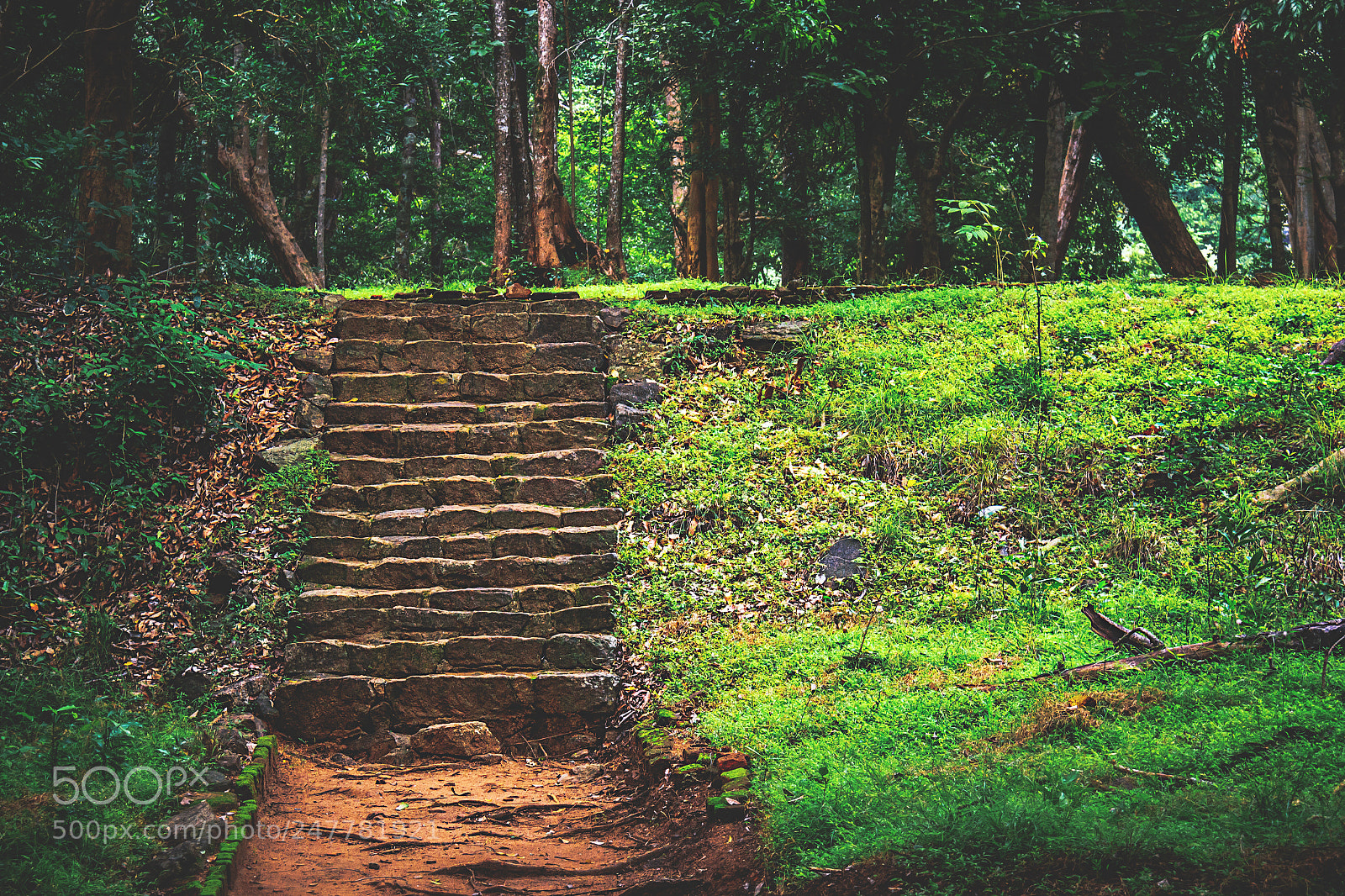 Canon EOS 600D (Rebel EOS T3i / EOS Kiss X5) sample photo. The forgotten temple, sri photography
