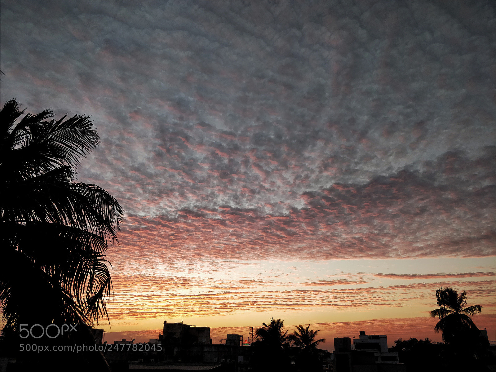 OnePlus 5 sample photo. Sunset photography
