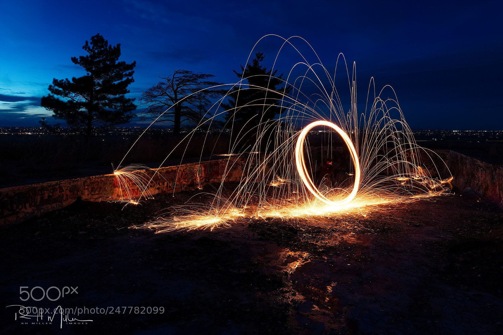 Canon EOS 5DS R sample photo. Fire spiders photography