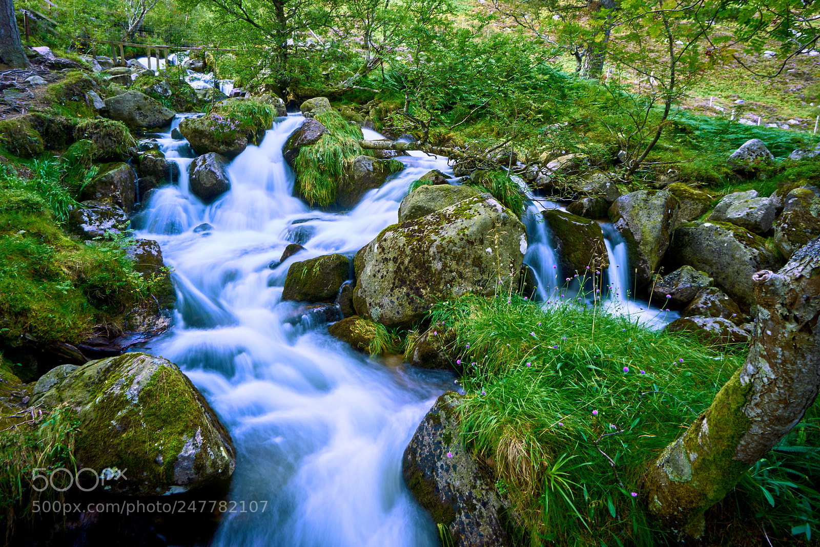 Sony a7R sample photo. A scottish burn photography