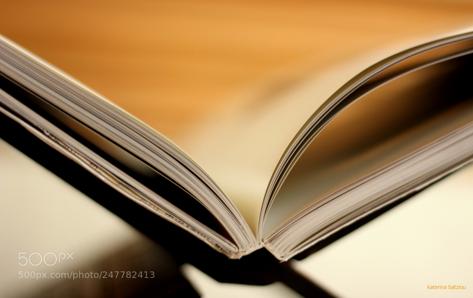 Canon EOS 550D (EOS Rebel T2i / EOS Kiss X4) sample photo. .....and the story begins photography