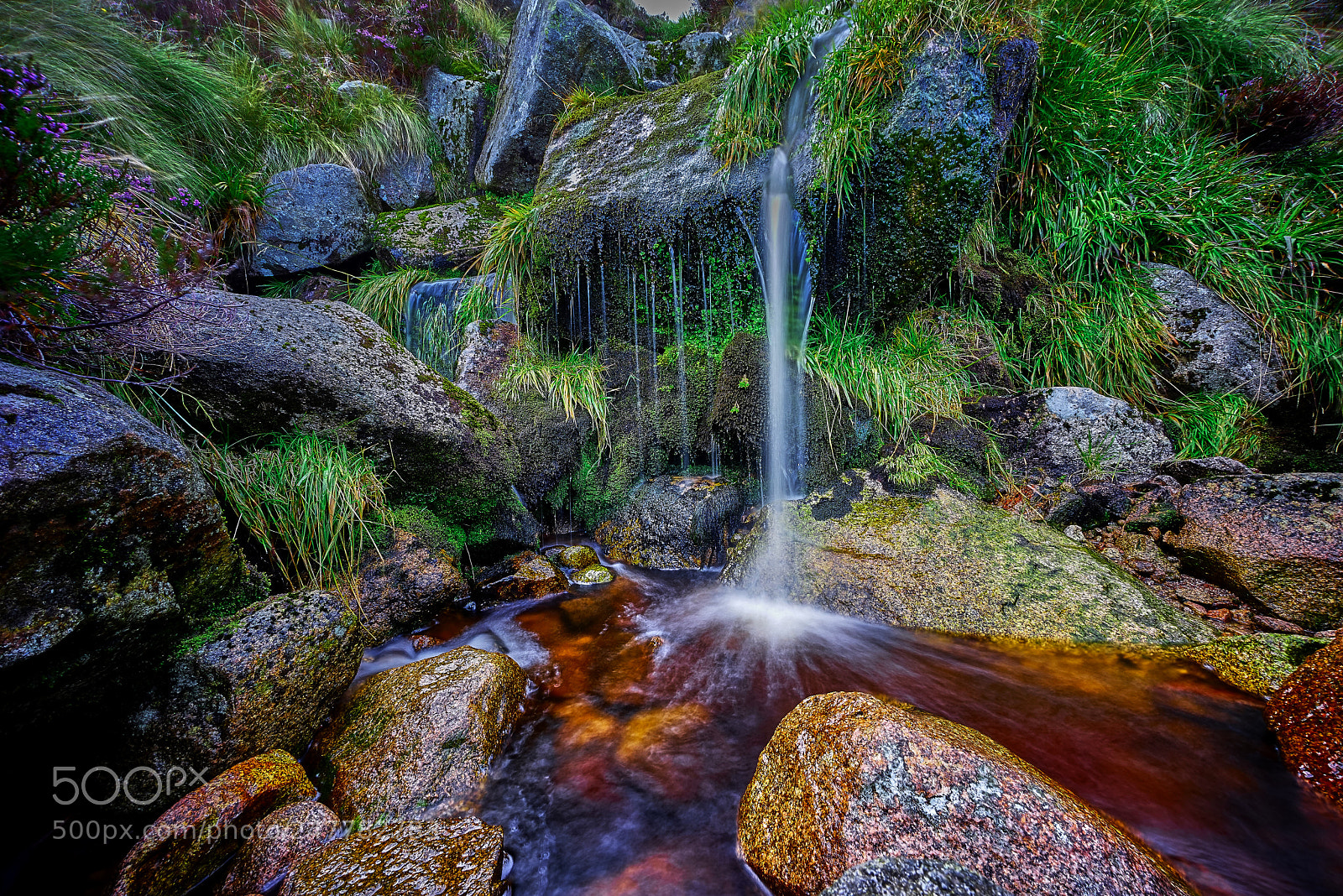 Sony a7R sample photo. Scotland stream photography