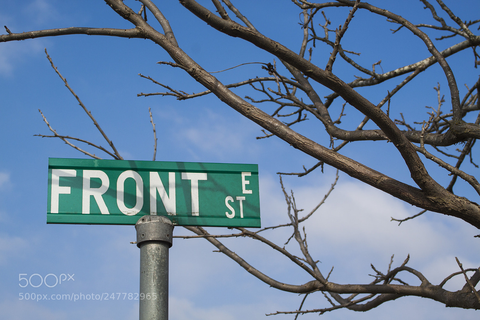 Canon EOS 50D sample photo. Mg photography