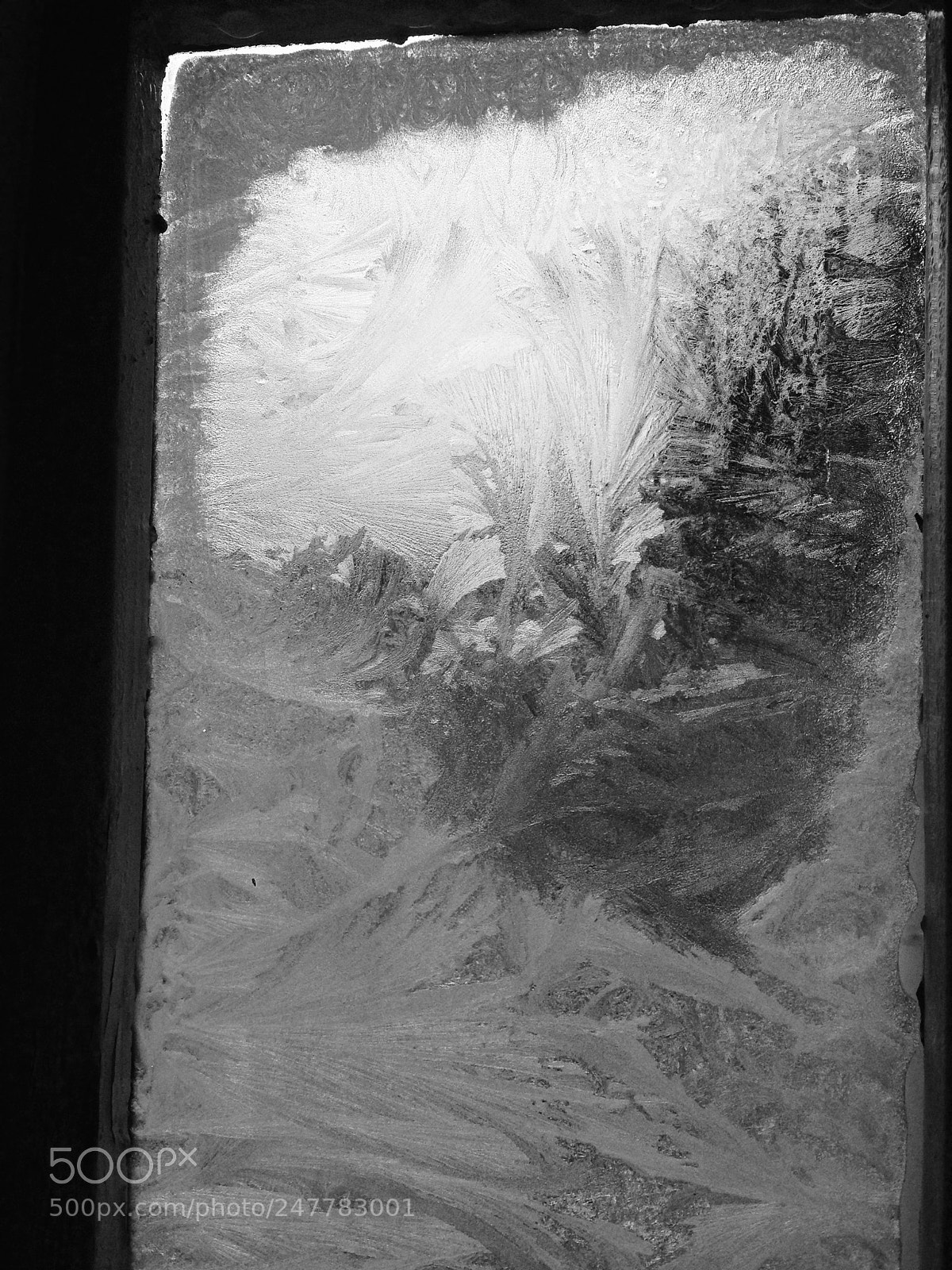 Apple iPhone 5 sample photo. Only -10 celsius eis photography