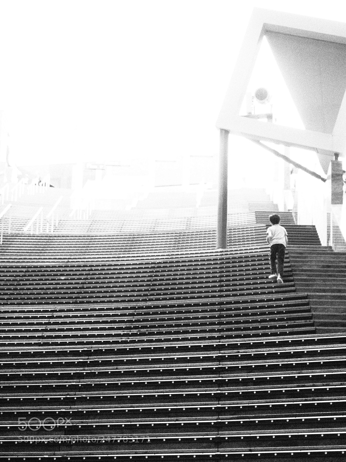 Olympus OM-D E-M1 sample photo. Untitled photography