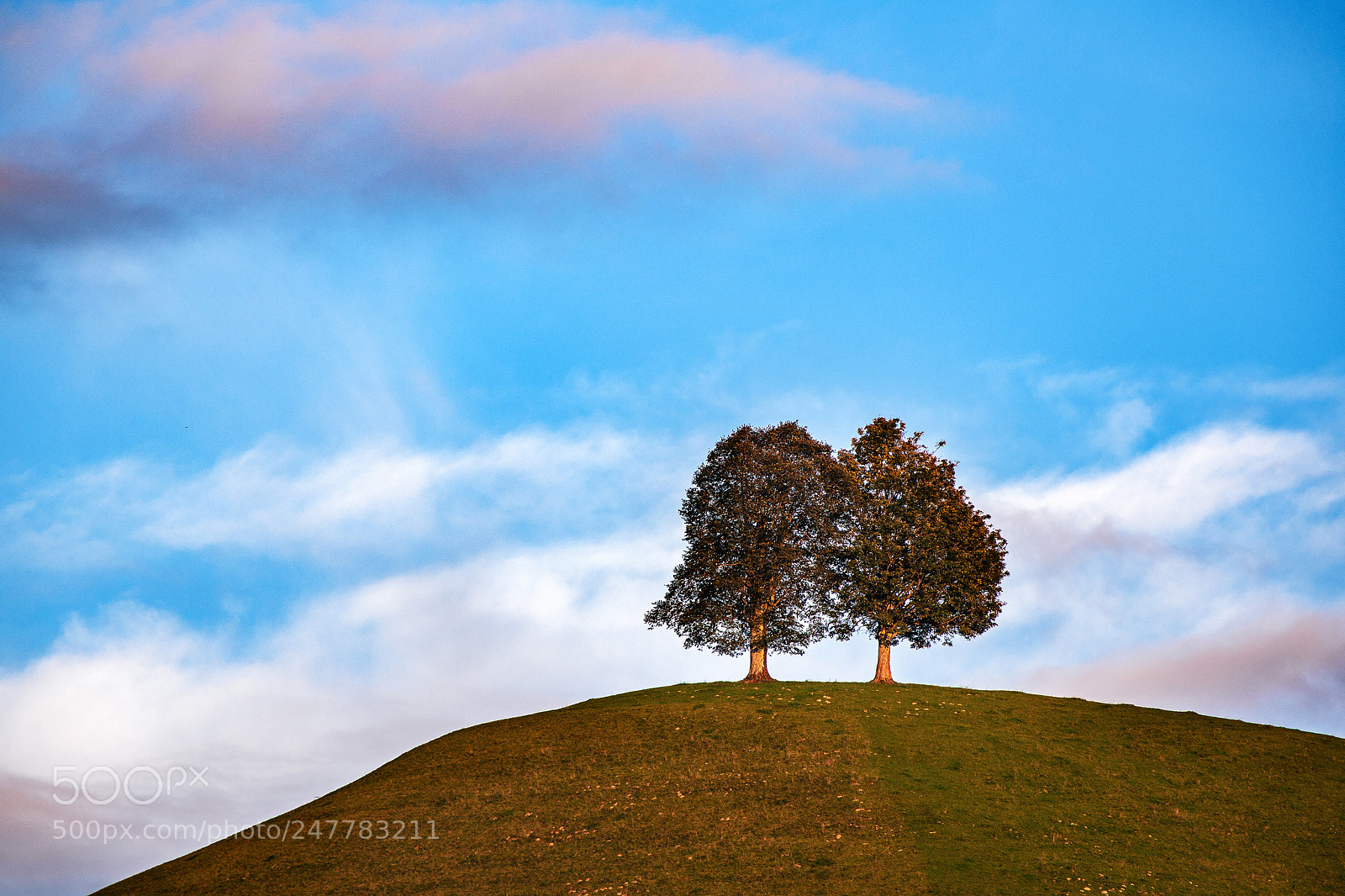 Nikon D3X sample photo. Twins at sunset photography
