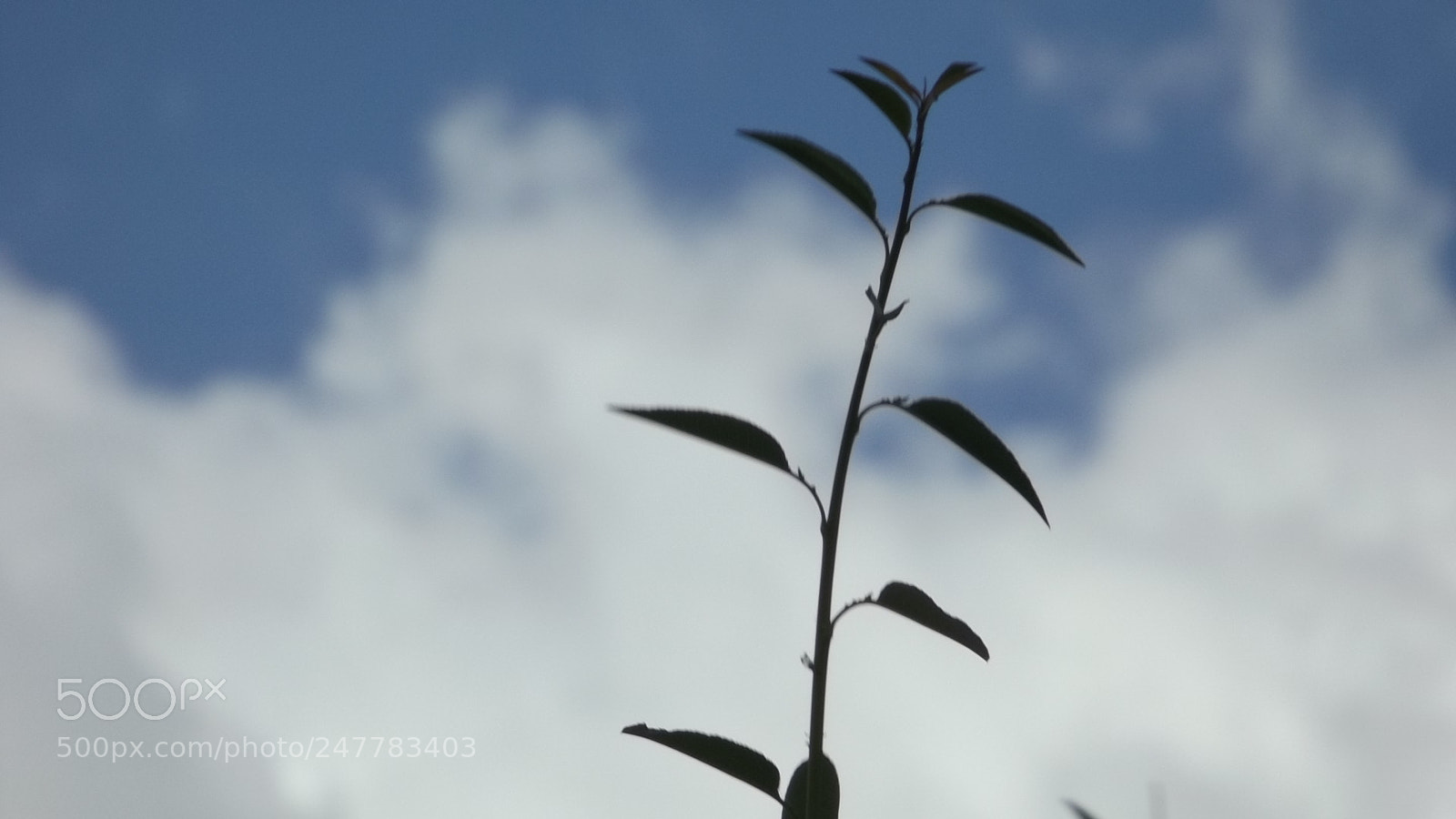 Fujifilm FinePix S4800 sample photo. Chumurkone chitral / nature photography