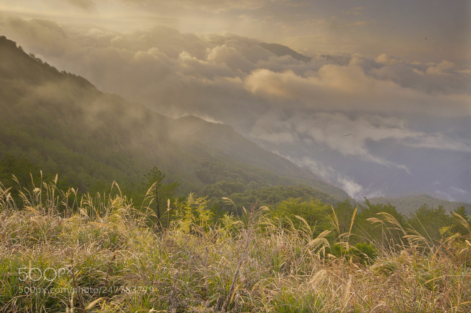 Pentax K-x sample photo. Sunrise in foggy hehuan photography