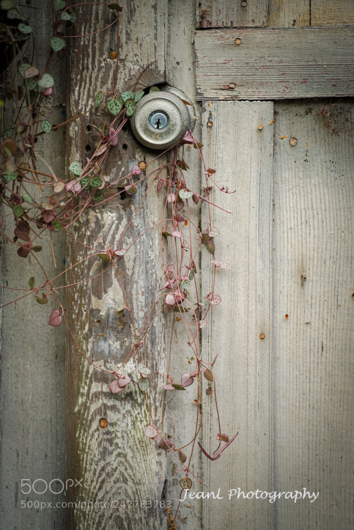Sony a7R sample photo. The door photography