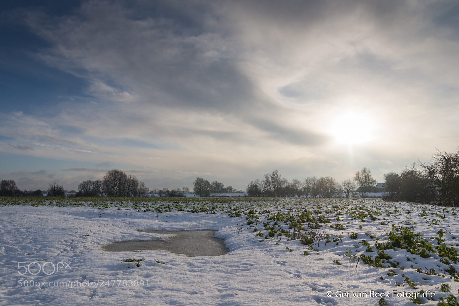 Nikon D610 sample photo. Snow photography