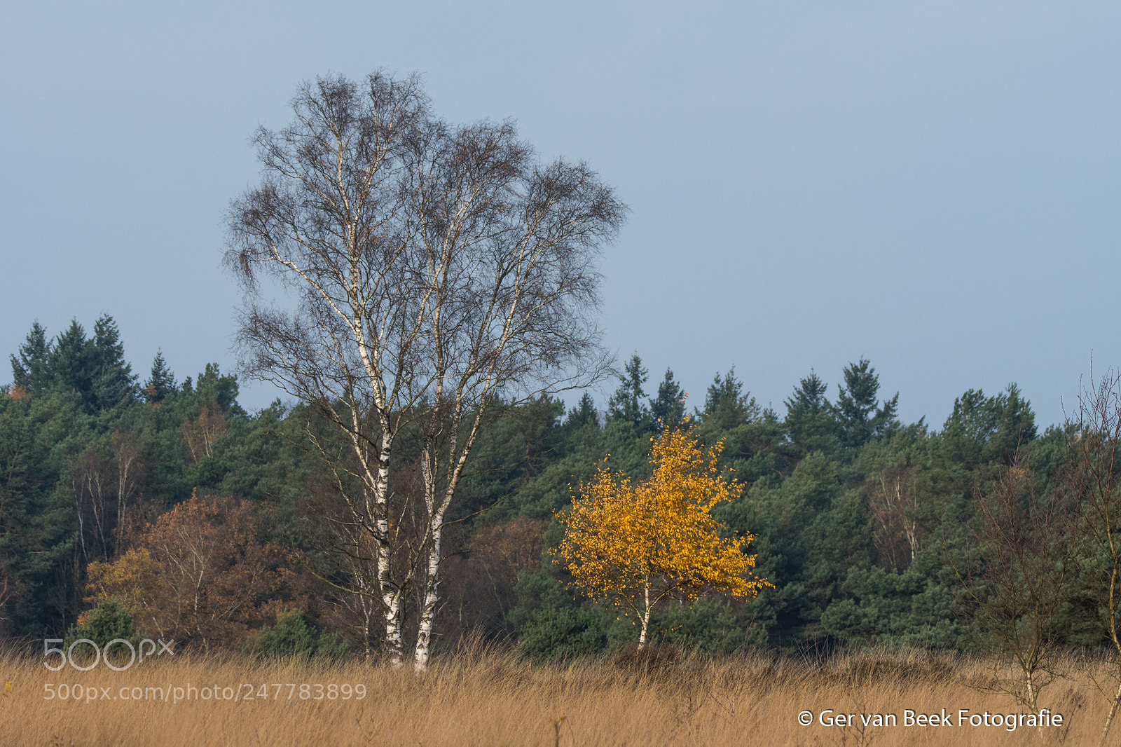 Nikon D7500 sample photo. Kampina photography