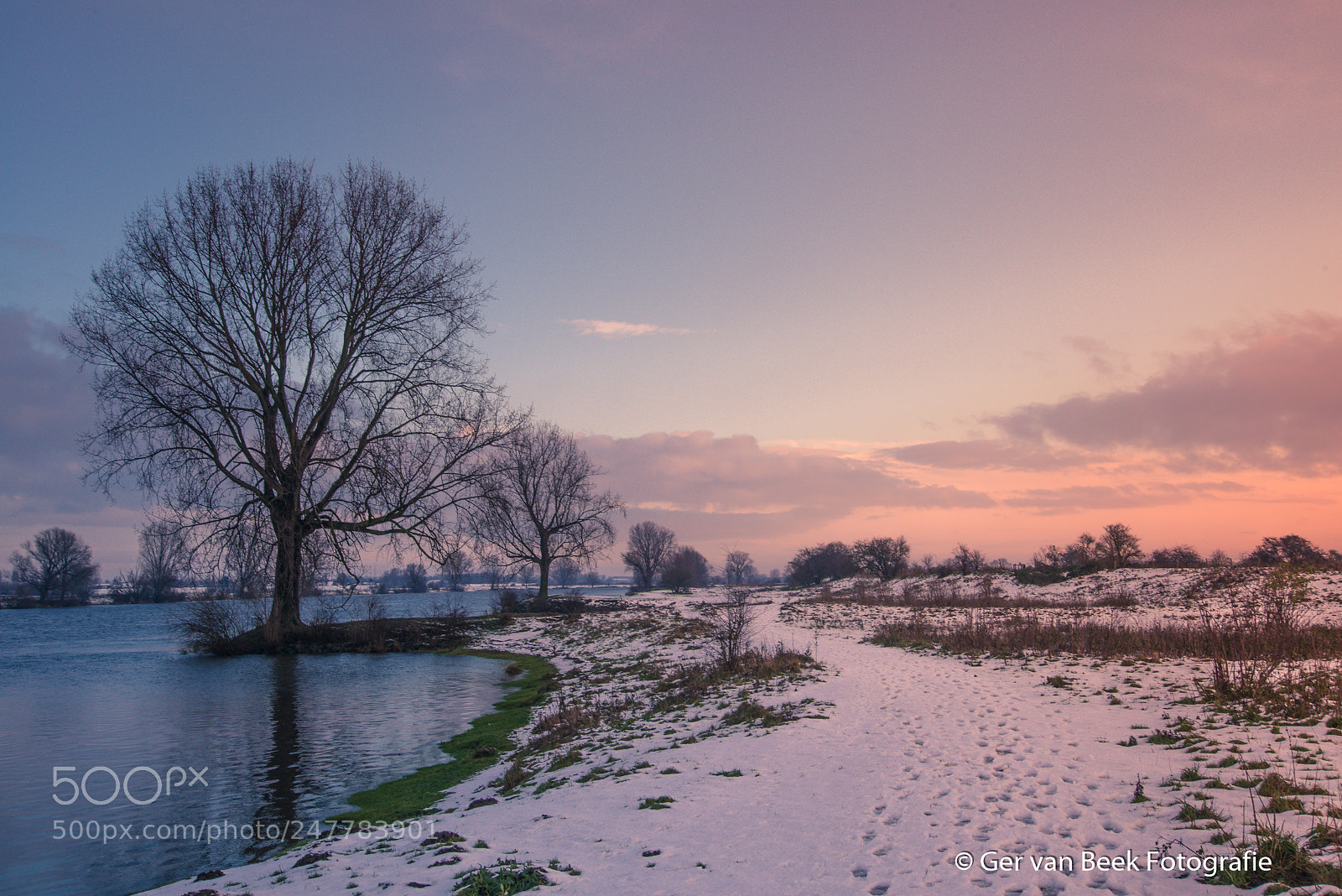 Nikon D610 sample photo. Maasuiterwaarden photography