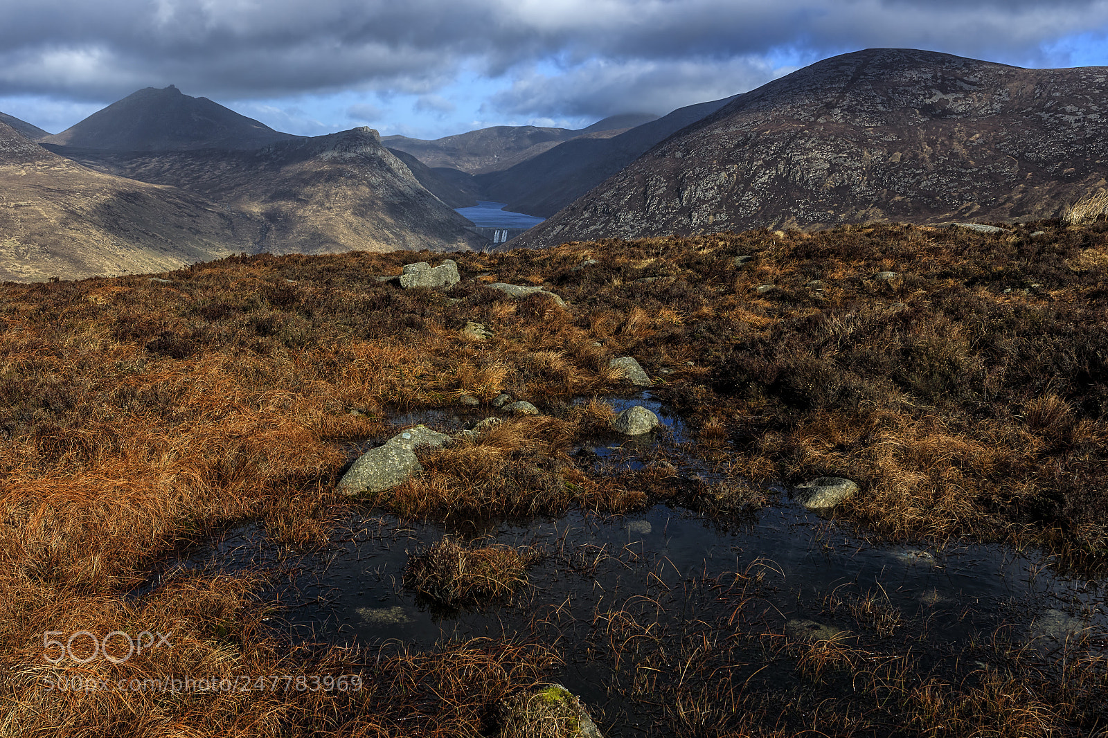 Canon EOS M10 sample photo. Wet and boggy photography