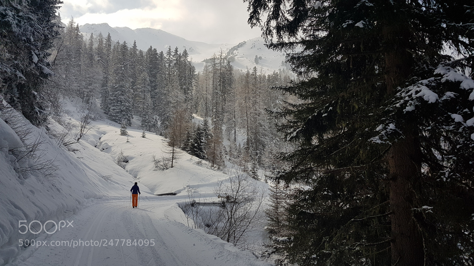 Samsung Galaxy S8+ sample photo. Hiking fiss.jpg photography