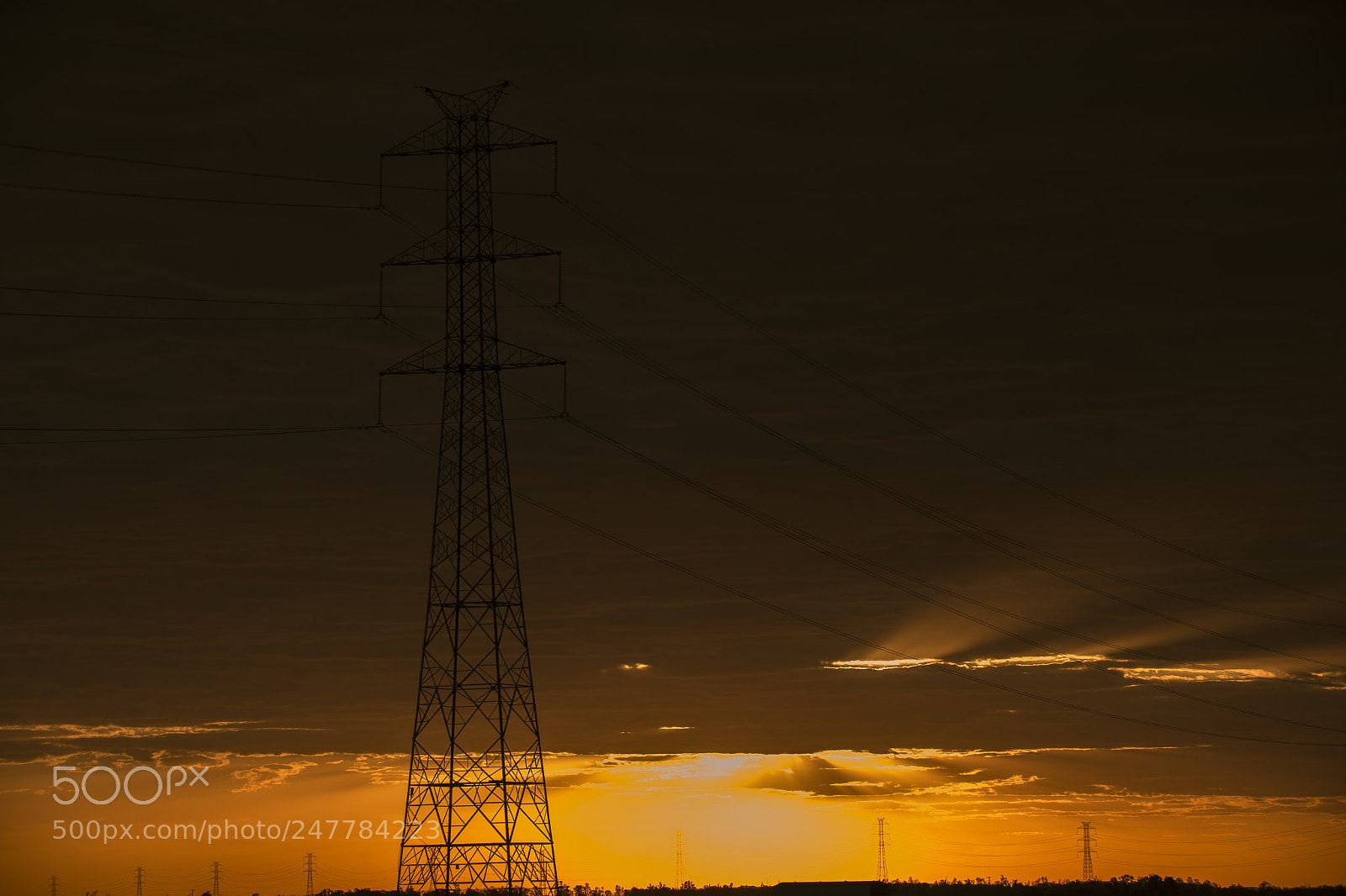 Nikon D800 sample photo. High voltage power tower photography