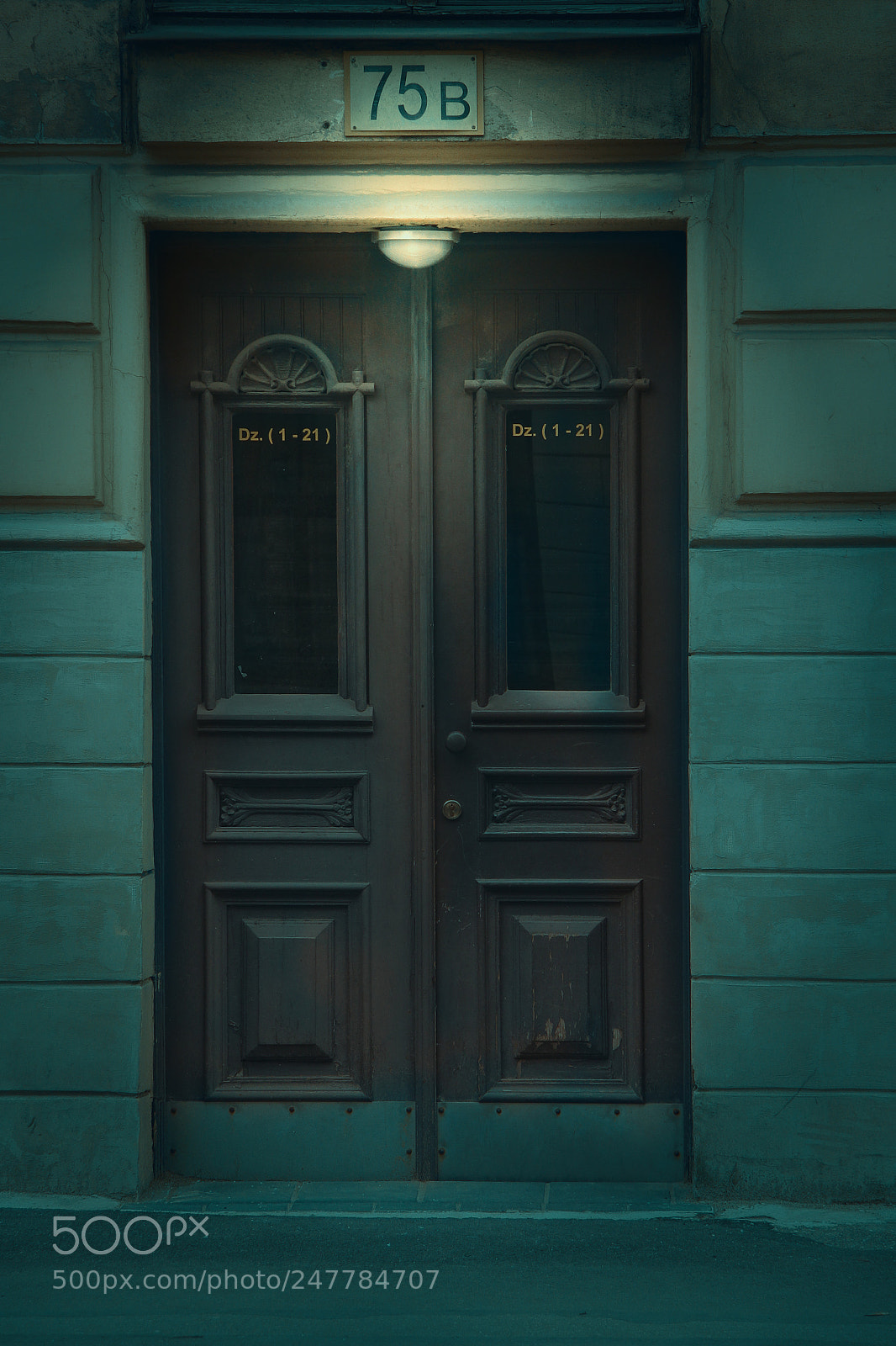 Canon EOS 60D sample photo. The door photography
