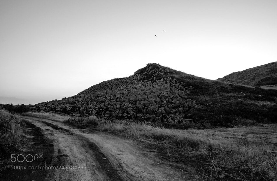 Fujifilm X-T10 sample photo. Old road and two photography