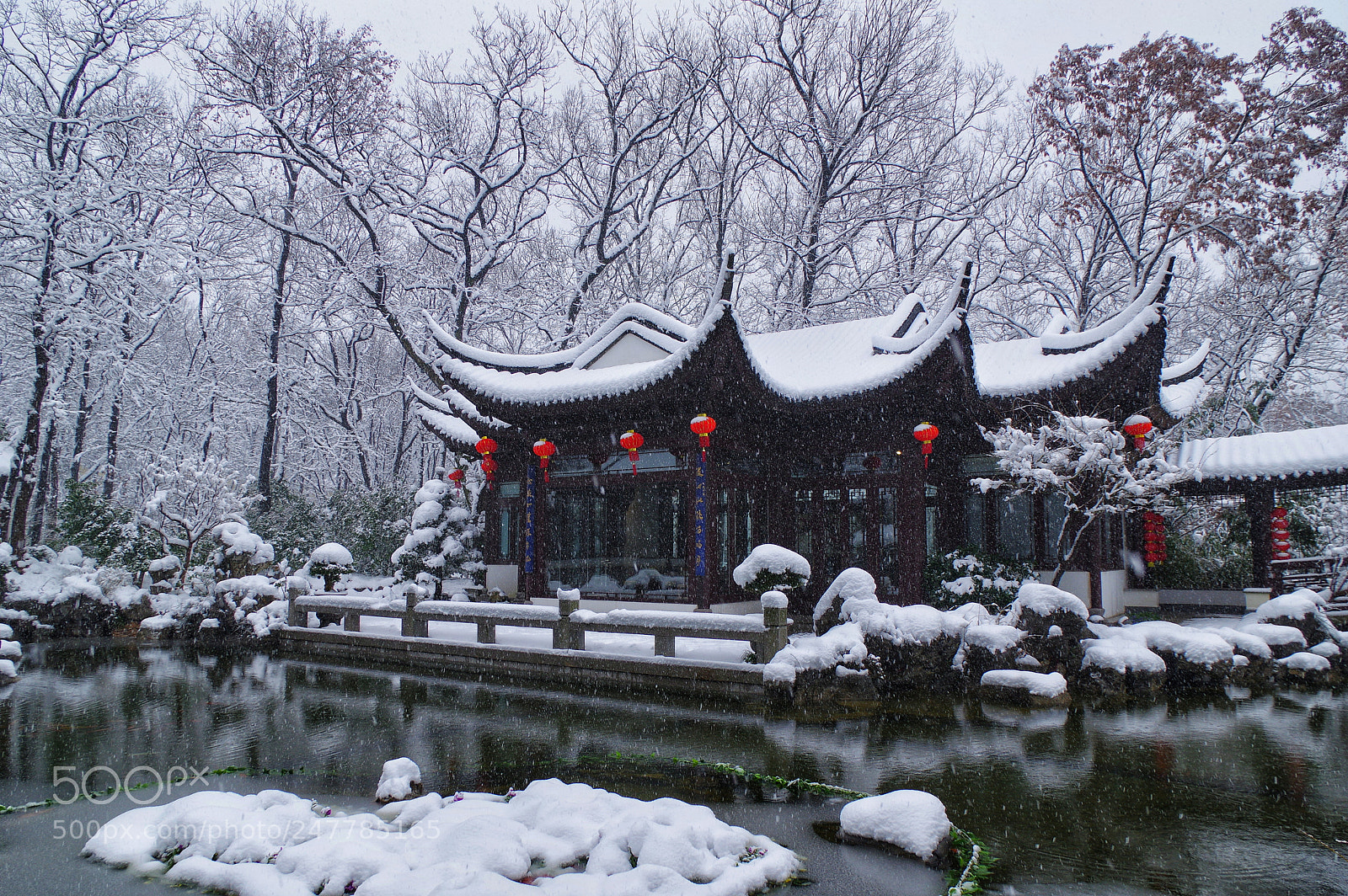 Pentax K-3 II sample photo. Untitled photography