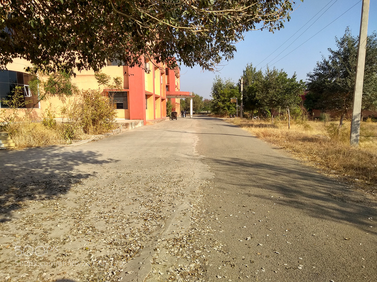 Motorola Moto G (5S) Plus sample photo. Untitled photography