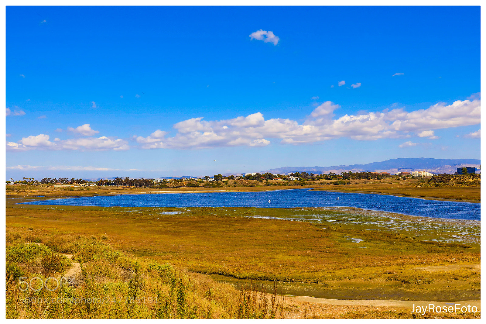 Canon EOS 5DS R sample photo. Untitled photography