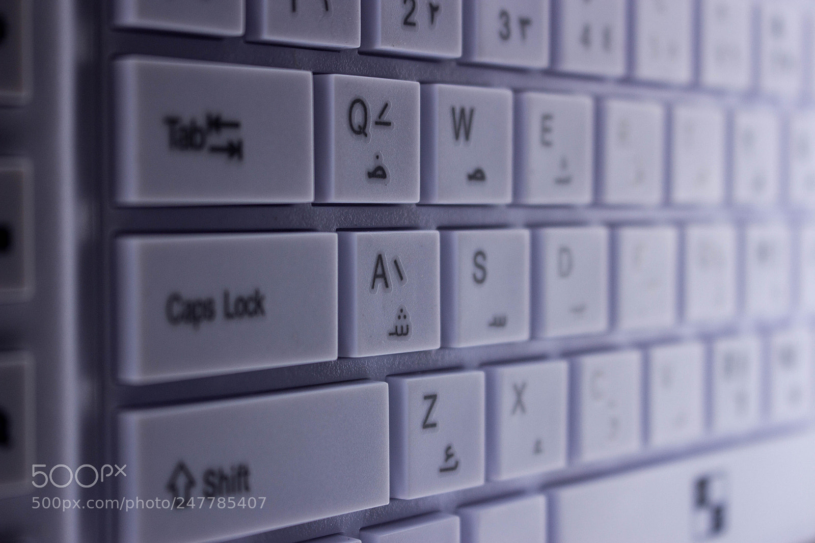 Canon EOS 650D (EOS Rebel T4i / EOS Kiss X6i) sample photo. Studio session photography