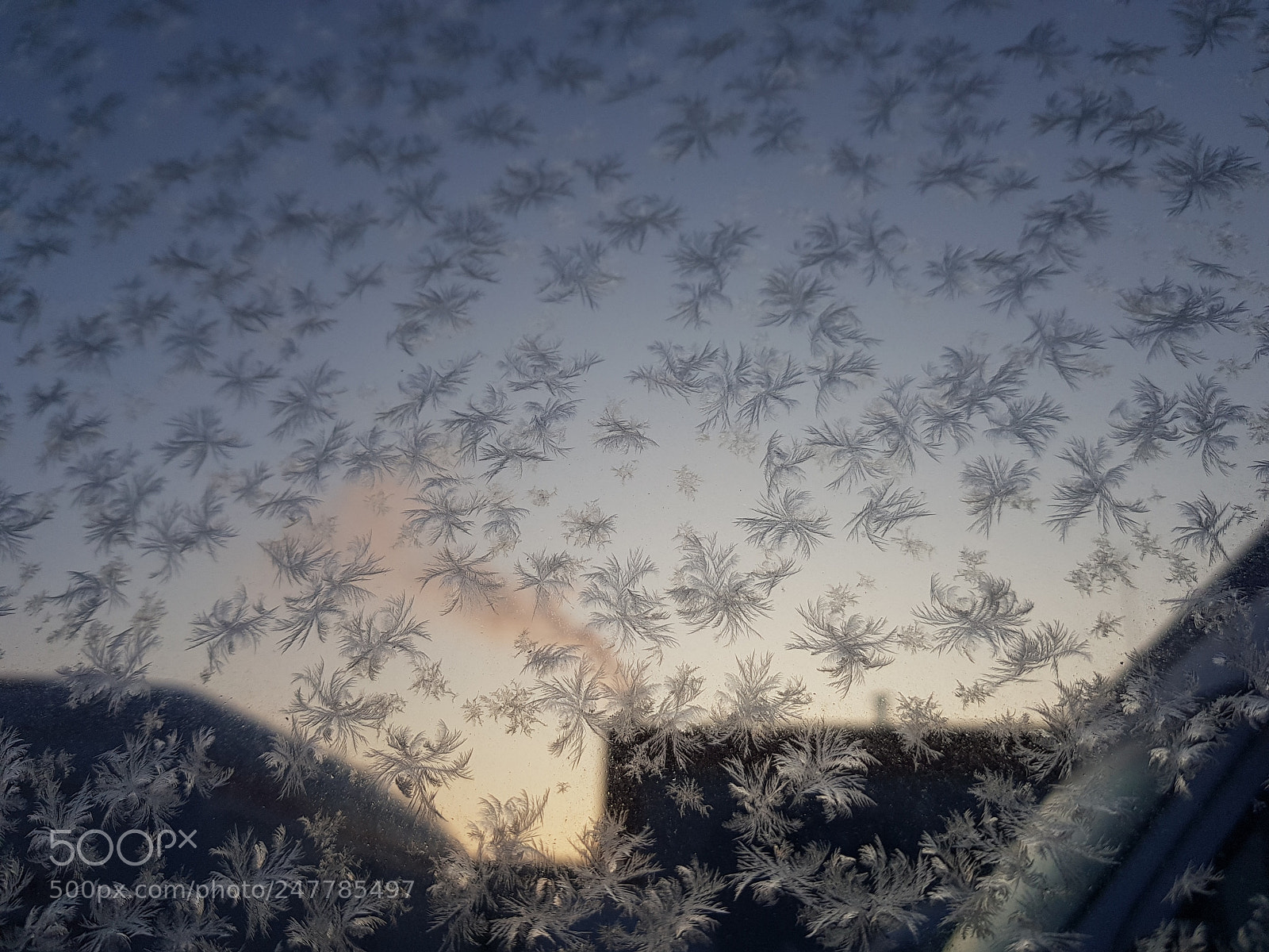 Samsung Galaxy S8+ sample photo. Stars stuck on glass photography