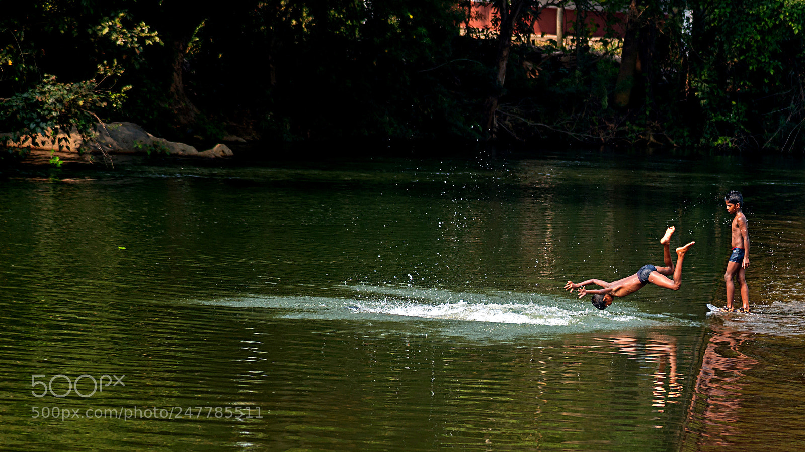 Nikon D800E sample photo. Swim photography