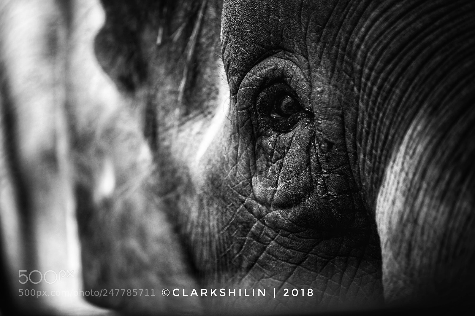 Canon EOS 5DS sample photo. Untitled photography