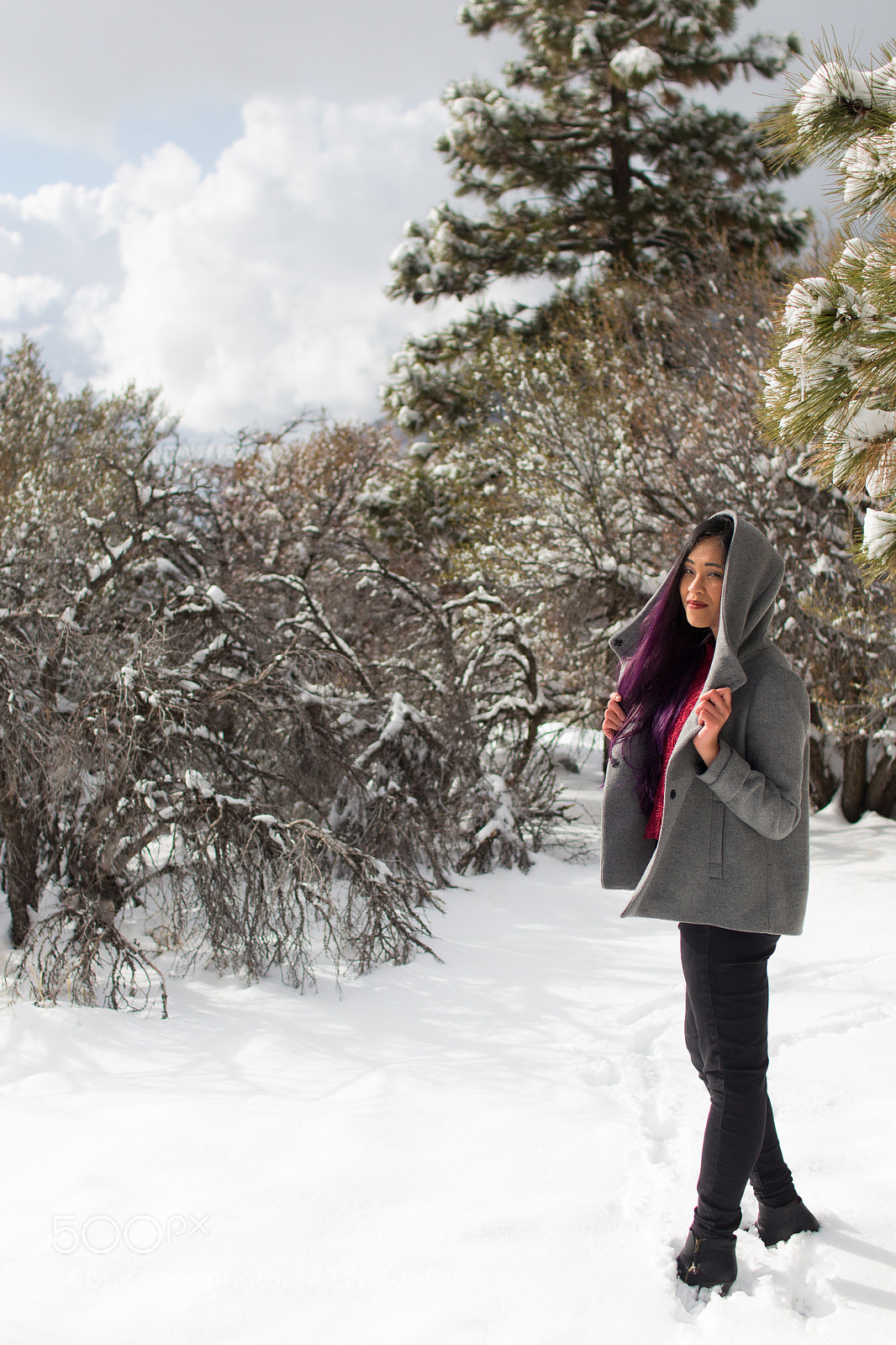 Canon EOS 700D (EOS Rebel T5i / EOS Kiss X7i) sample photo. Snowy purple hair photography