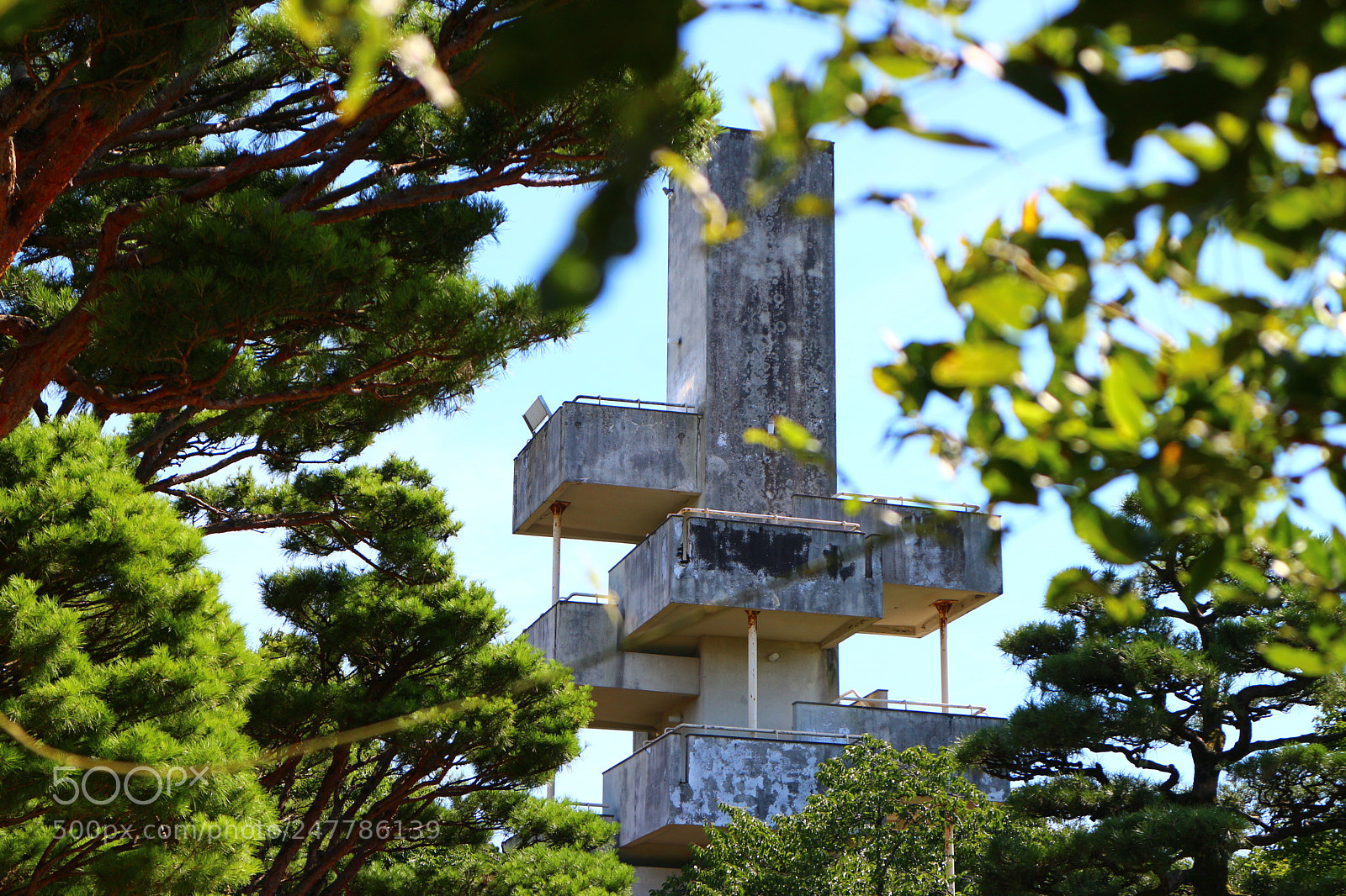 Canon EOS M sample photo. Img photography
