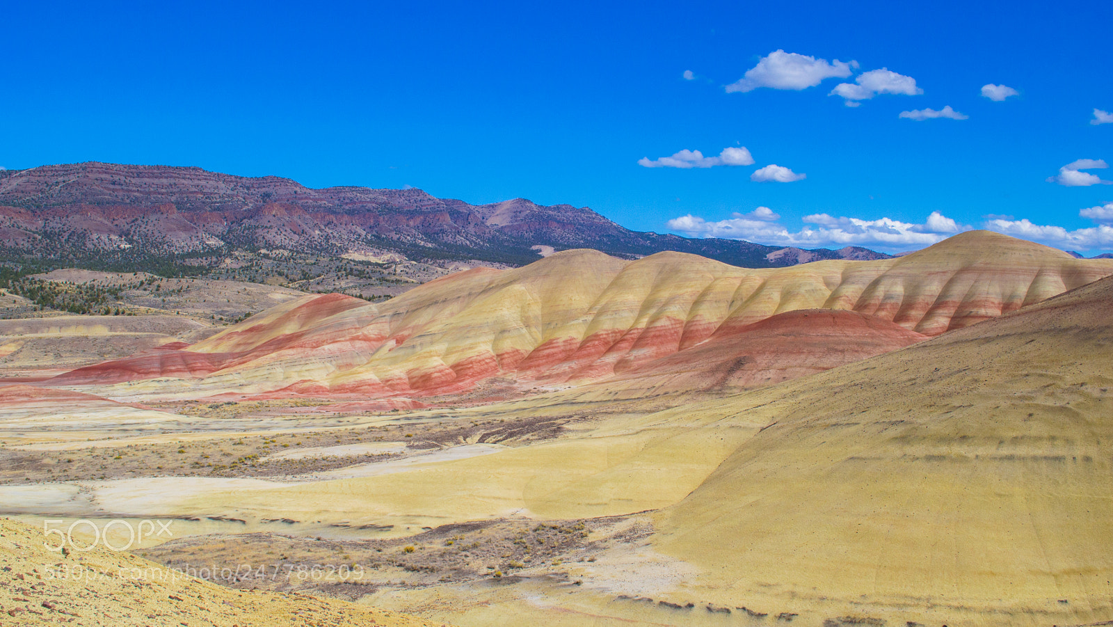 Nikon D3100 sample photo. Paintedhills photography