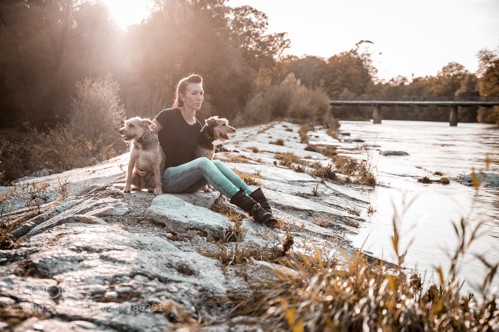Nikon D850 sample photo. Hundeshooting photography