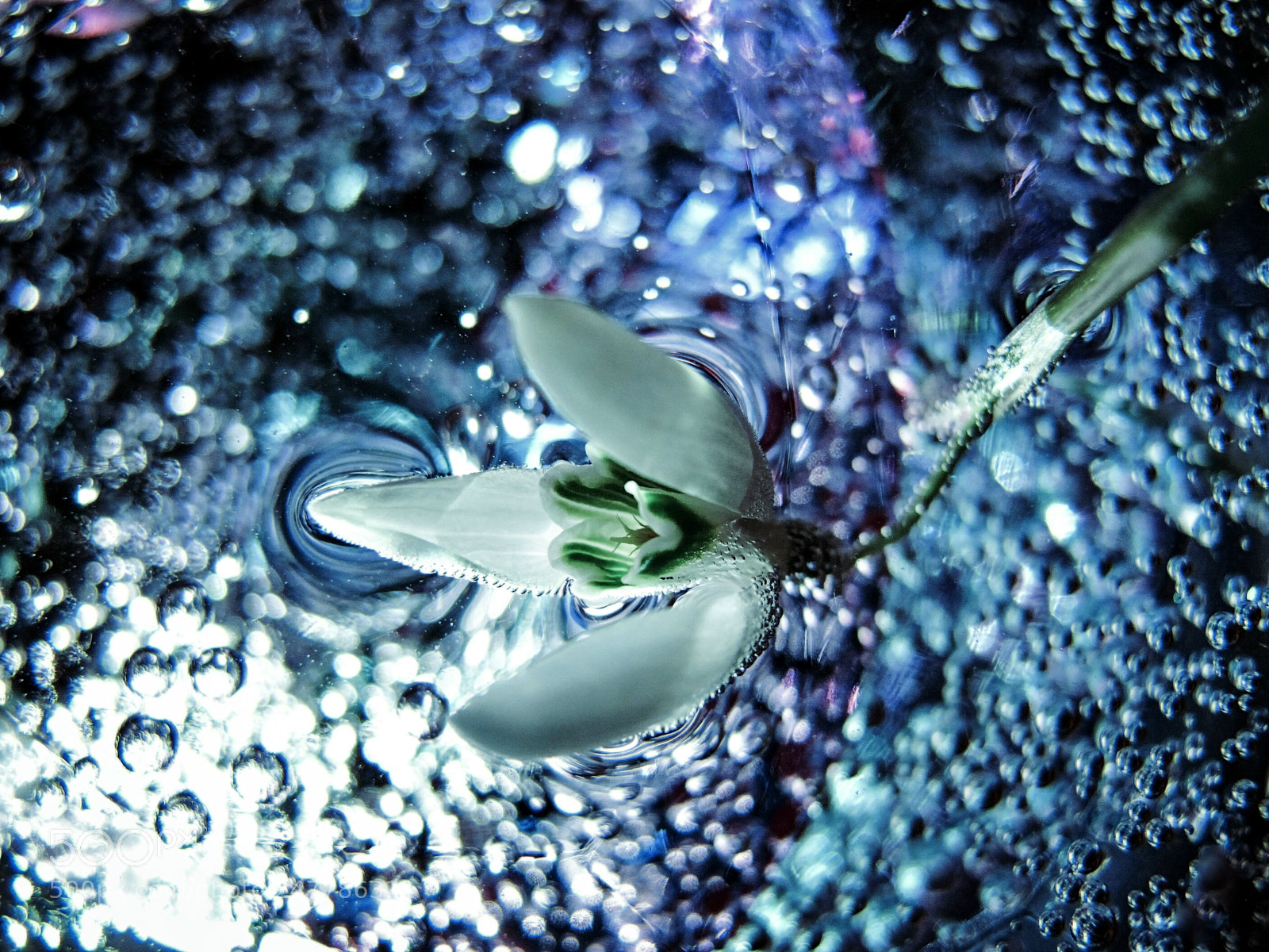 Canon PowerShot G11 sample photo. Dreamlike photography