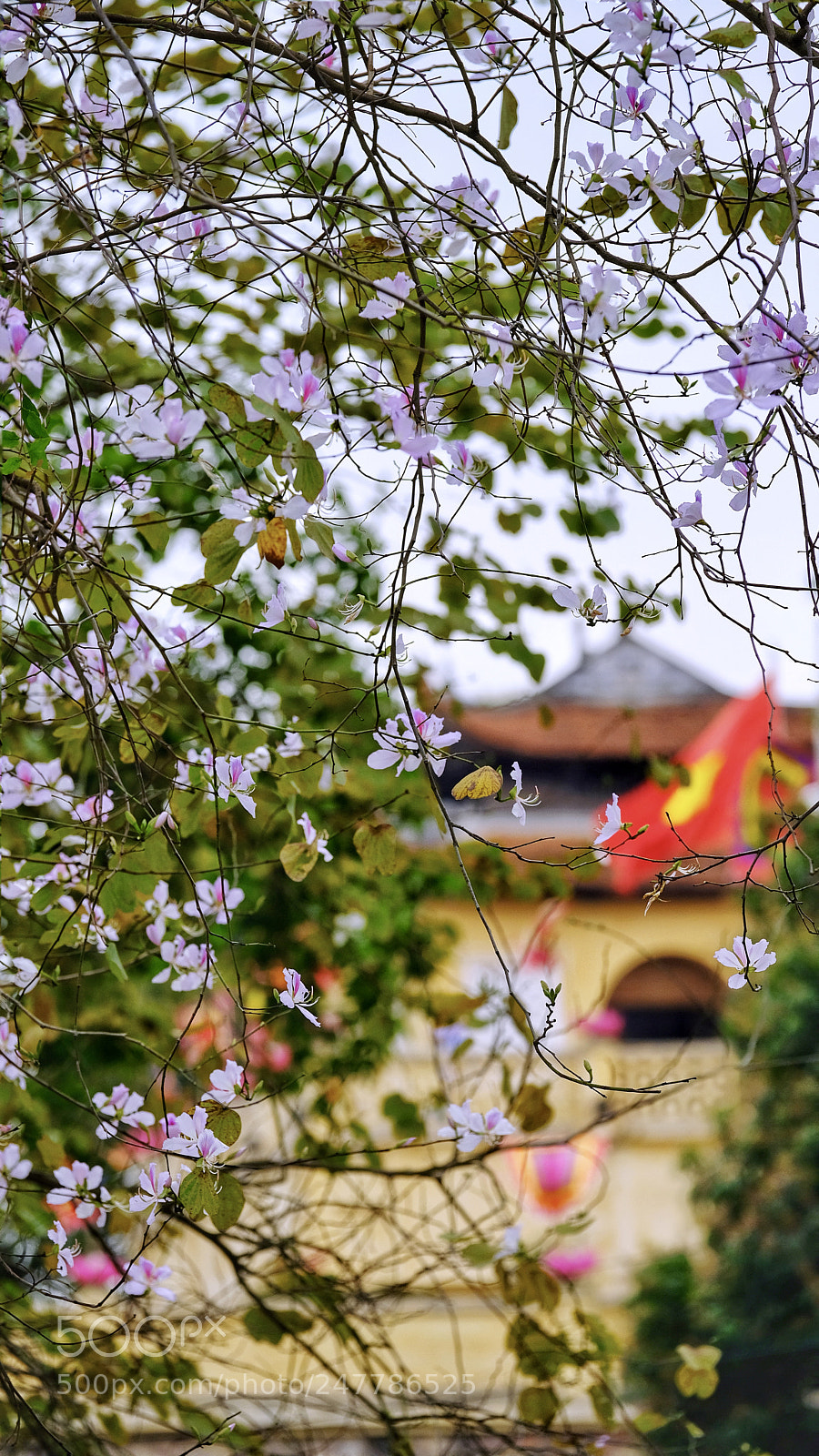 Fujifilm X-T20 sample photo. Untitled photography