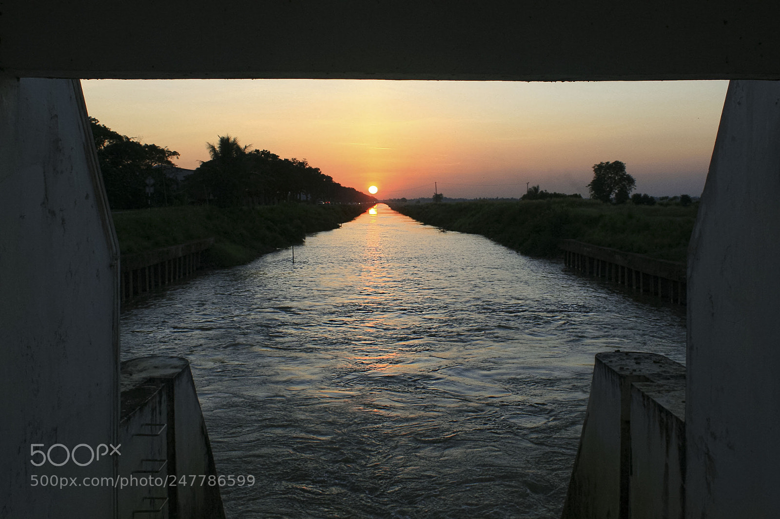 Canon EOS 400D (EOS Digital Rebel XTi / EOS Kiss Digital X) sample photo. Paddy canal in jitra photography