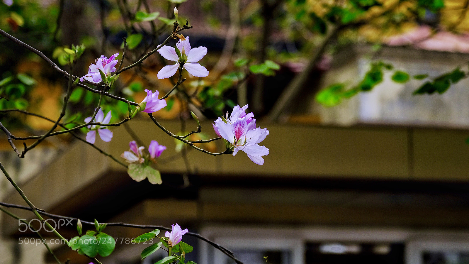 Fujifilm X-T20 sample photo. Untitled photography