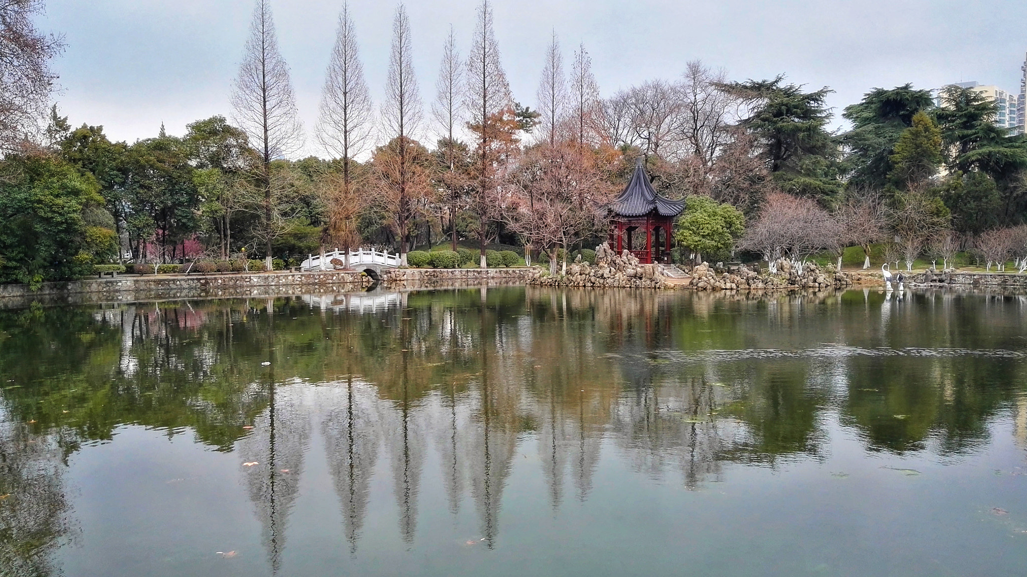 HUAWEI DAV sample photo. 杉影如箭 photography