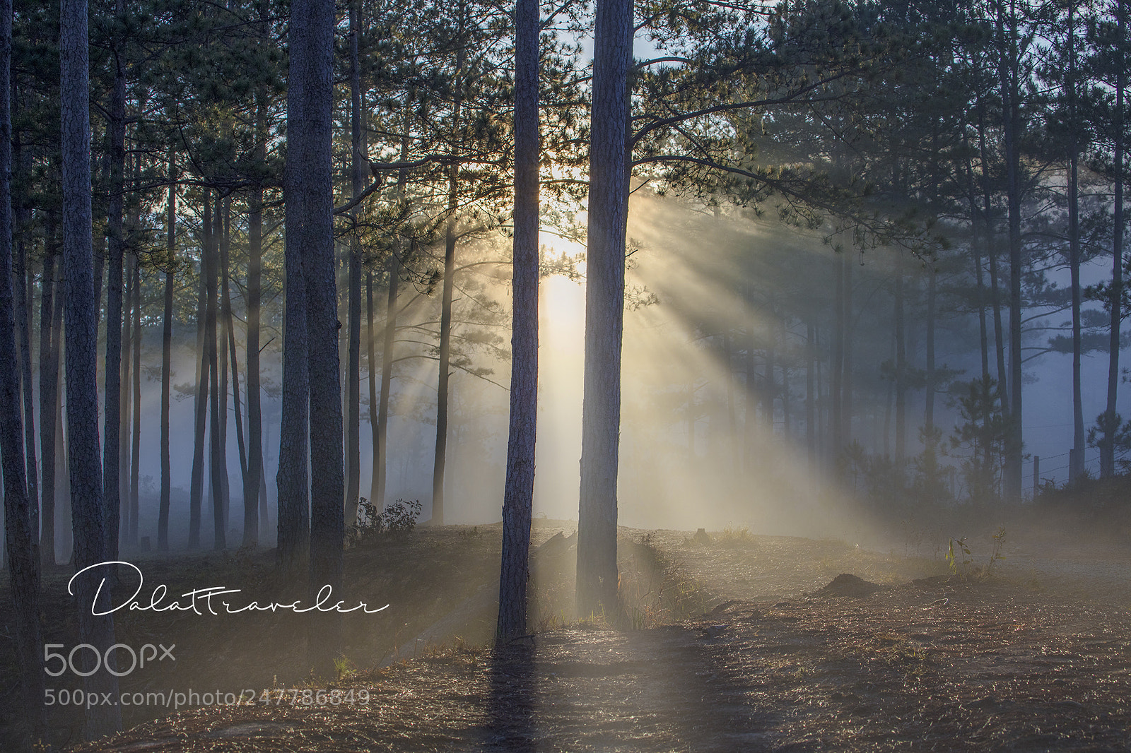 Canon EOS 5DS R sample photo. Magic light photography