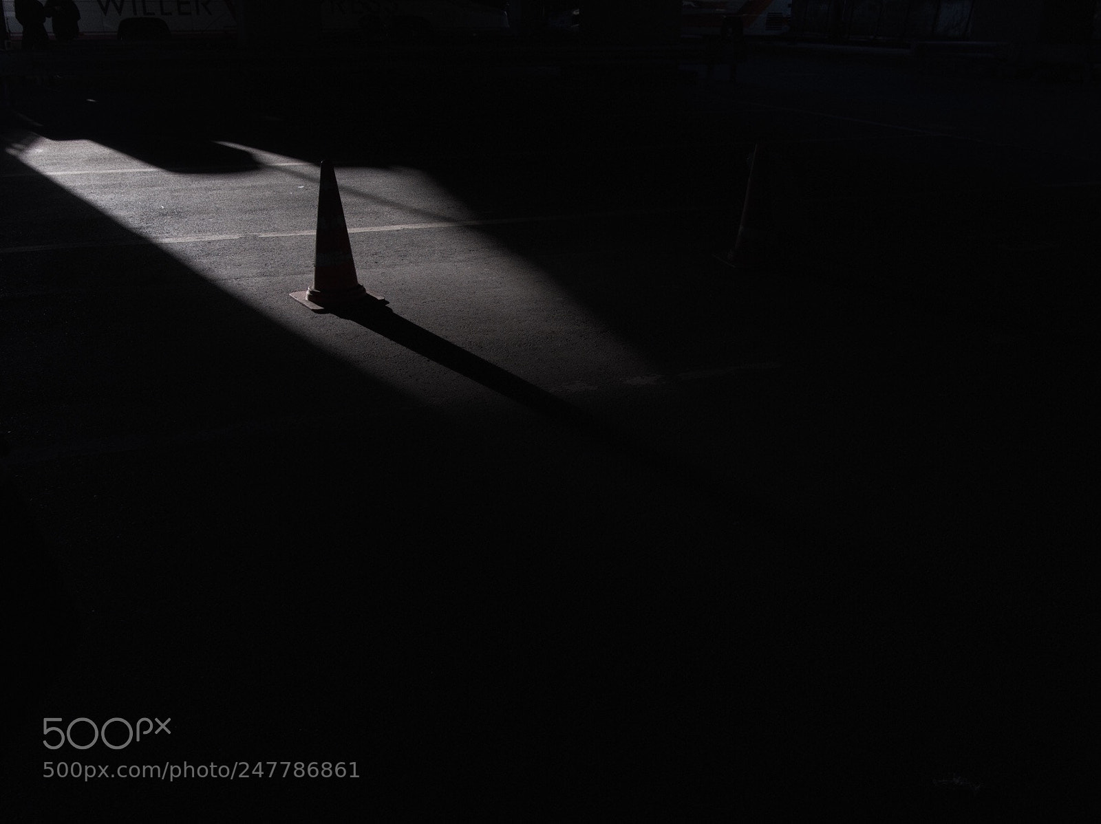 Nikon D850 sample photo. Untitled photography