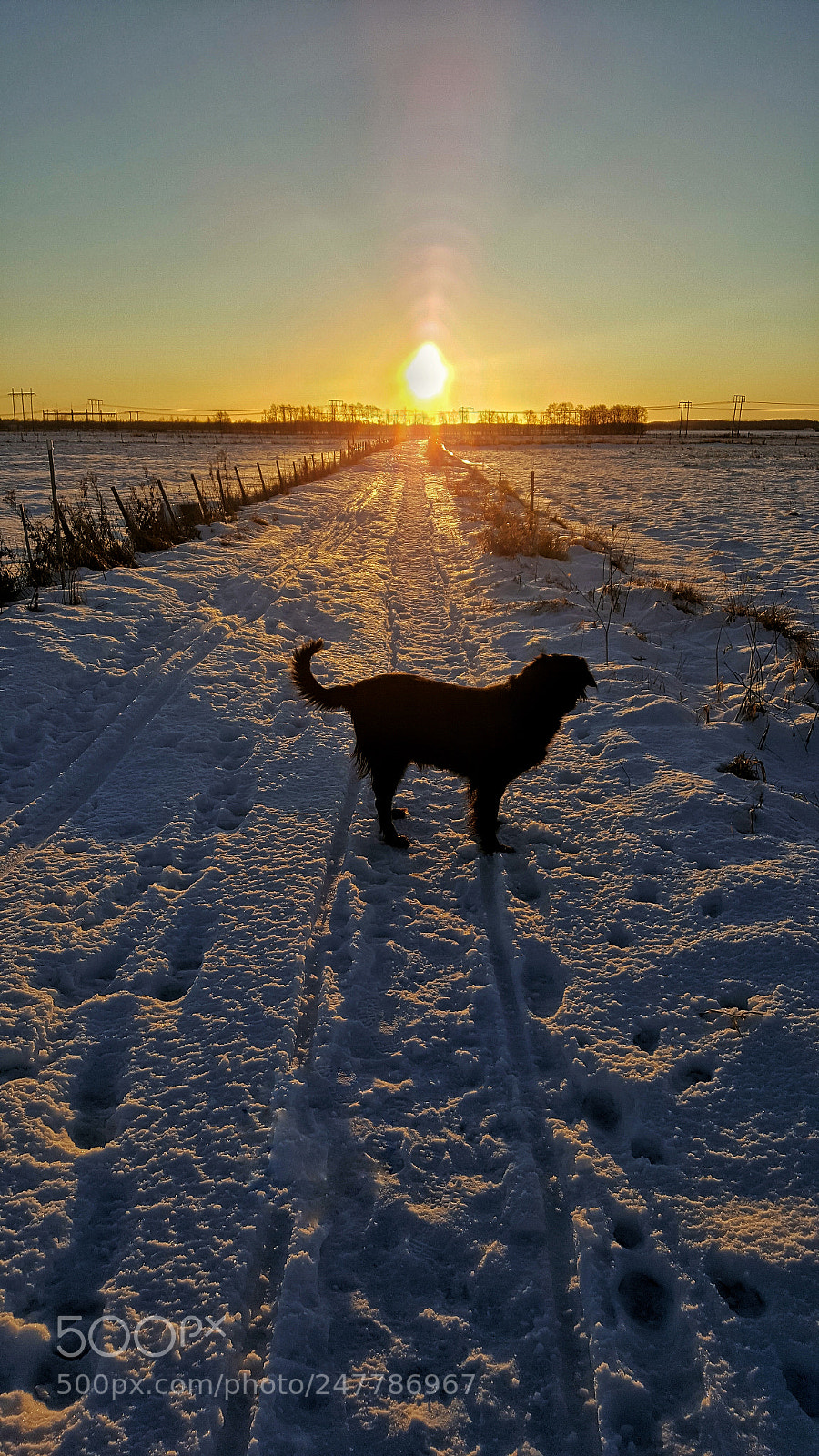 Samsung Galaxy S6 sample photo. A morningwalk photography