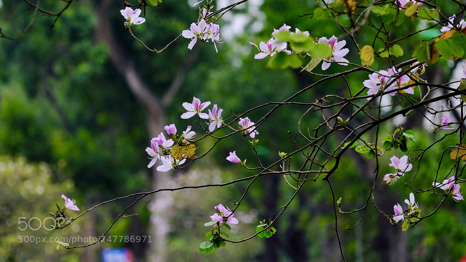 Fujifilm X-T20 sample photo. Untitled photography