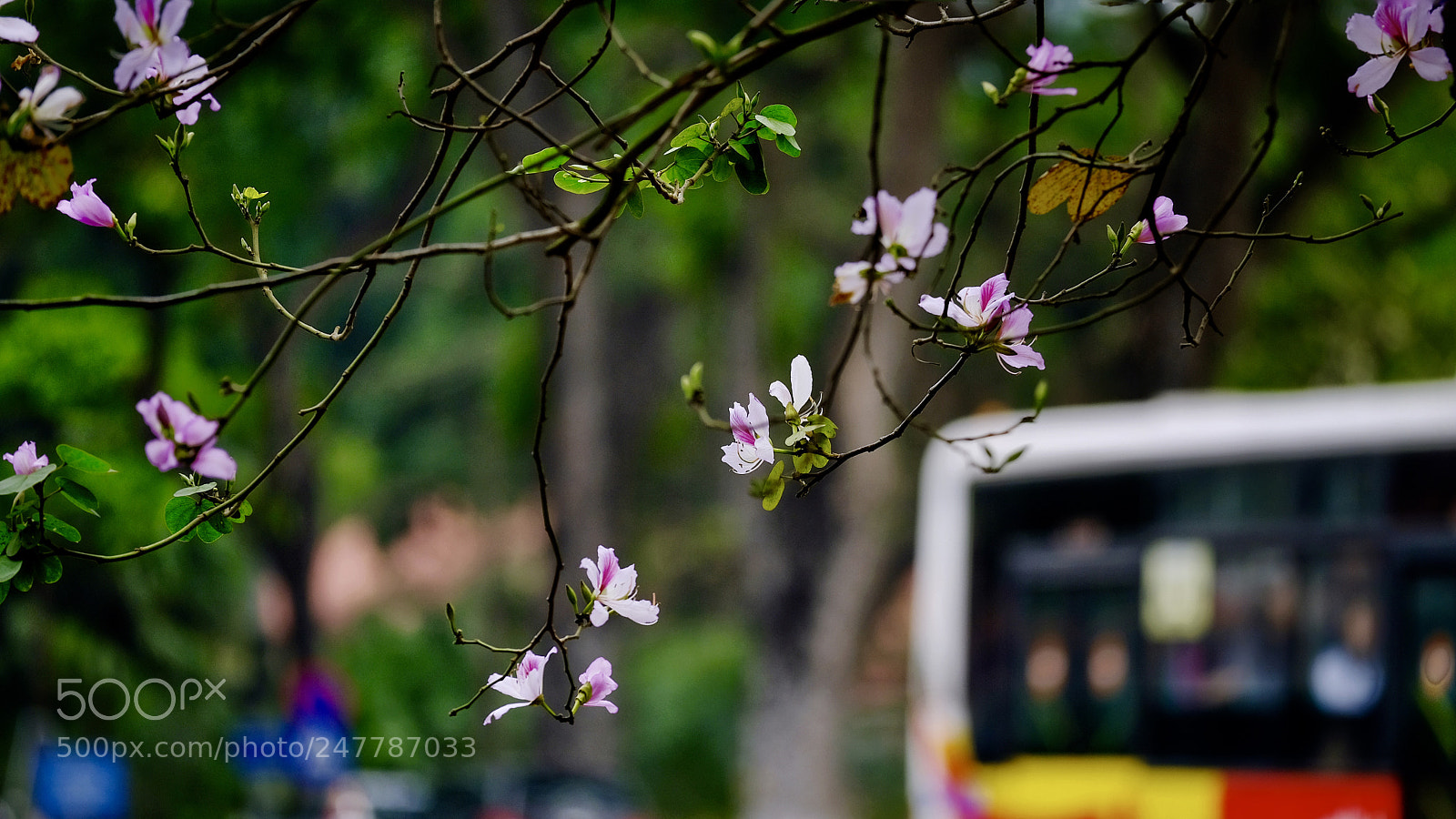 Fujifilm X-T20 sample photo. Untitled photography