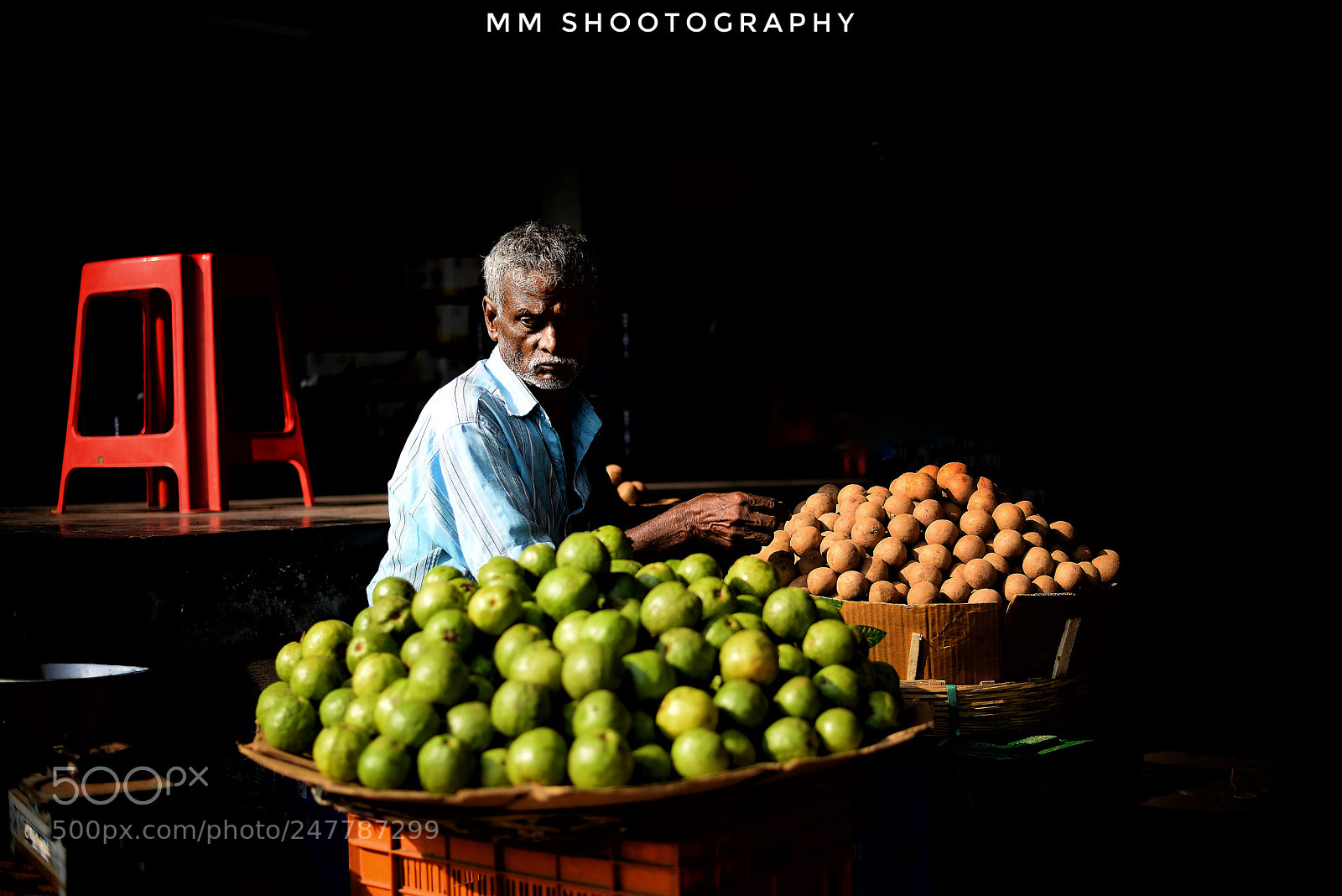 Nikon D610 sample photo. Sun rays in the photography