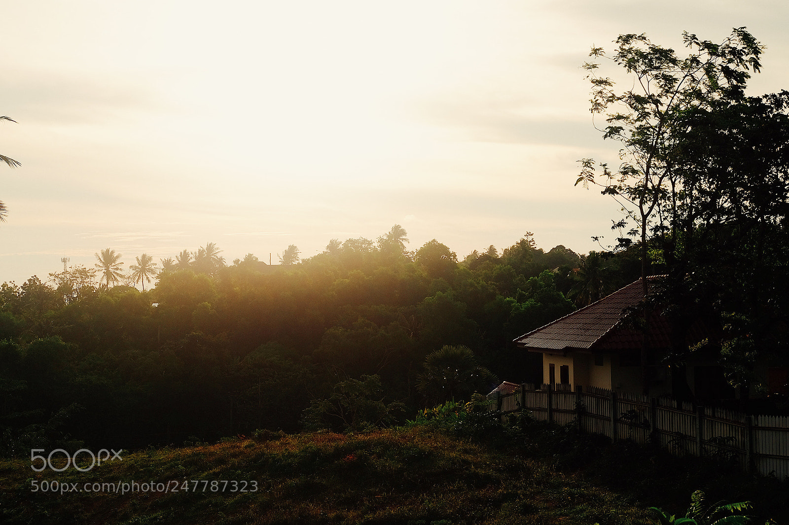 Fujifilm X-T10 sample photo. S.. photography