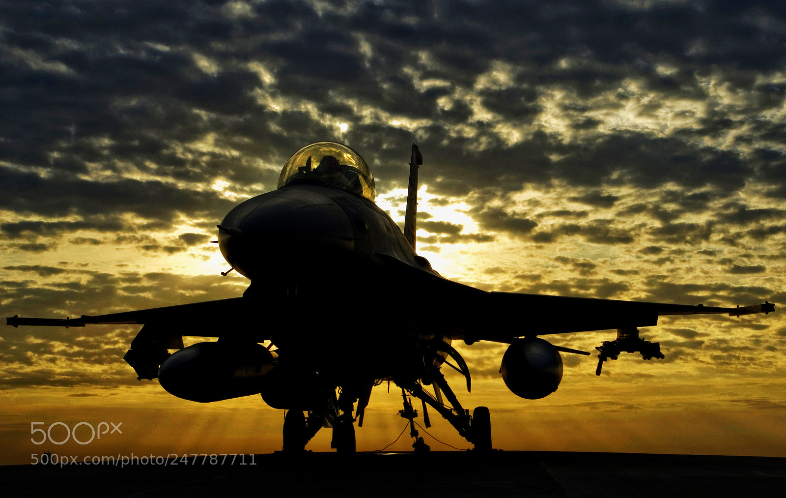 Nikon D2X sample photo. Falcon sunset photography