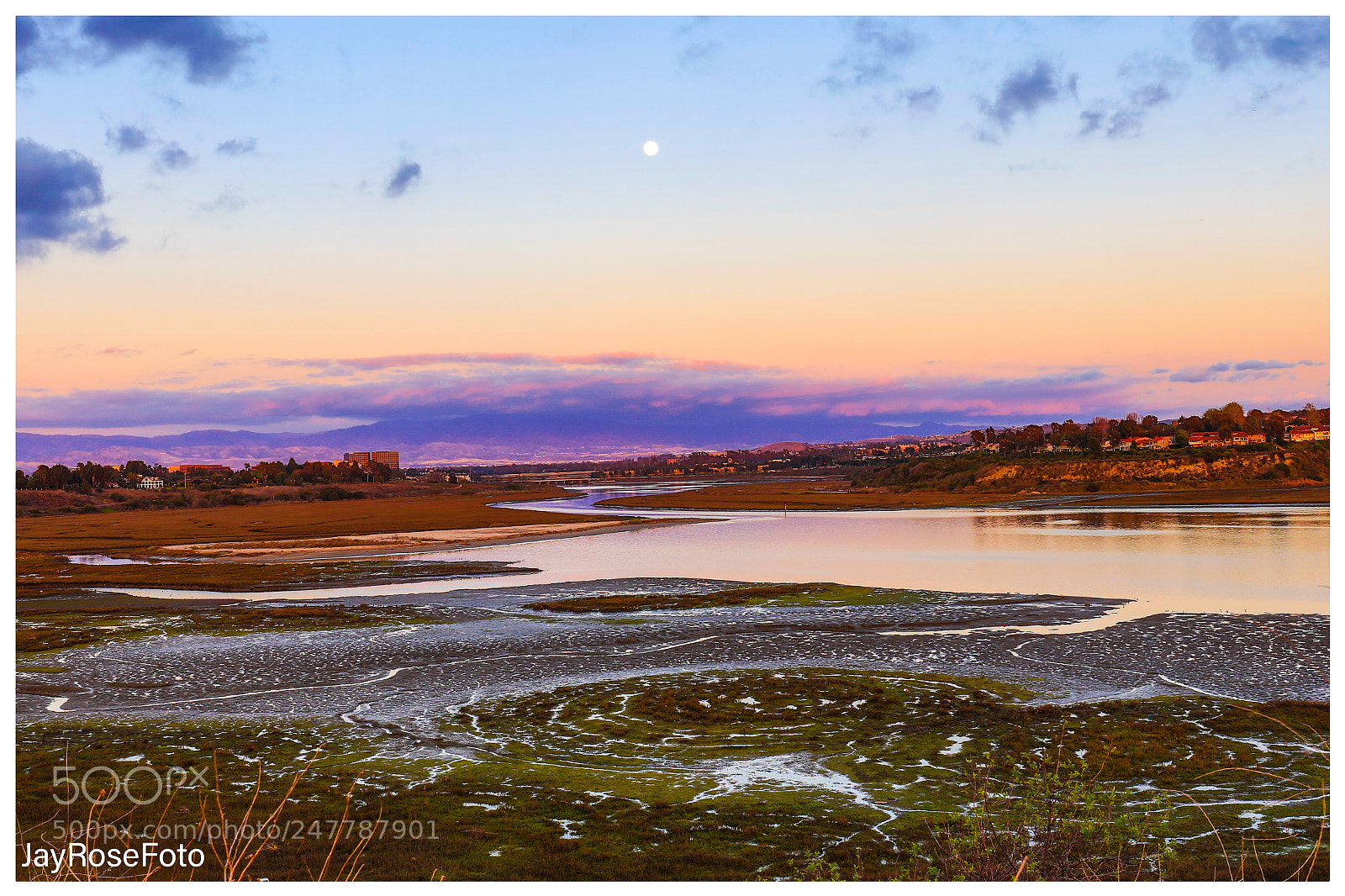 Canon EOS 5DS R sample photo. Untitled photography
