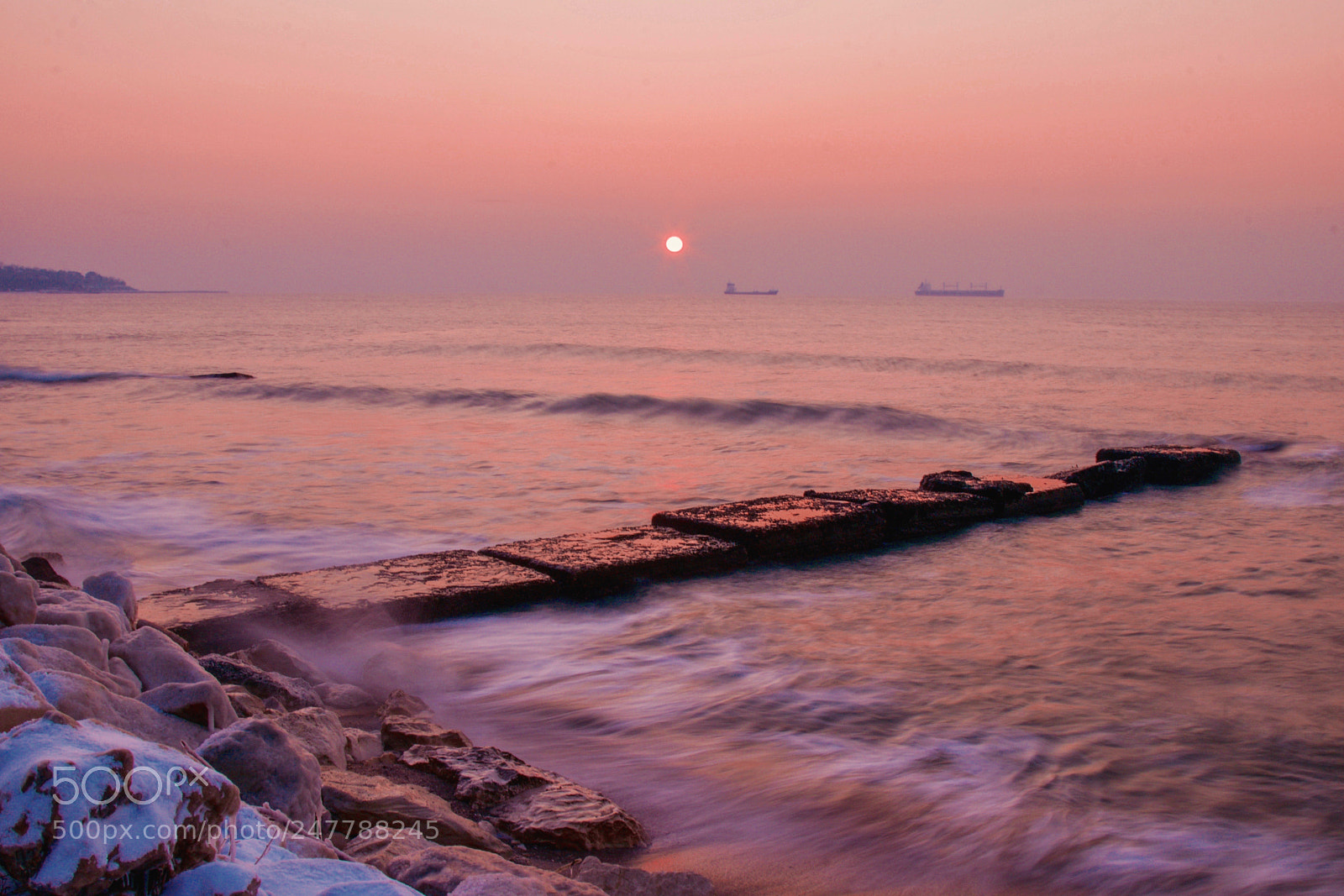 Canon EOS 80D sample photo. Good morning... photography