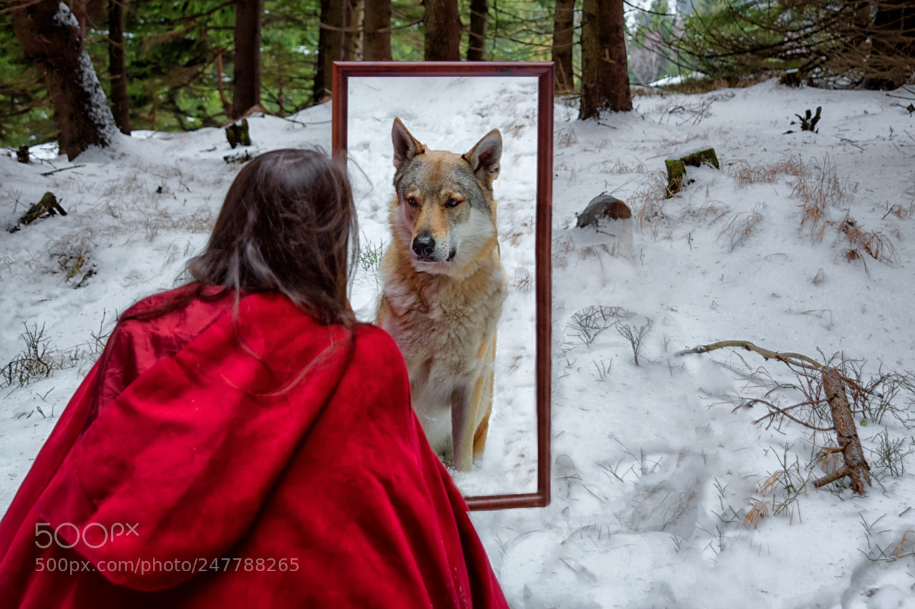 Nikon D3X sample photo. Self reflection photography