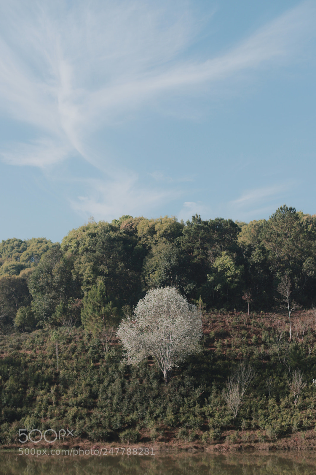 Canon EOS 6D Mark II sample photo. Untitled photography