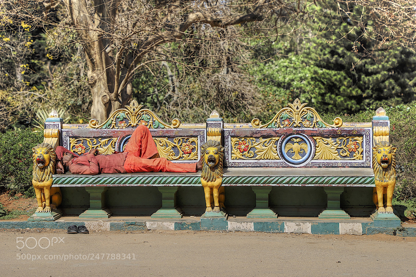 Canon EOS 6D Mark II sample photo. Siesta in style photography
